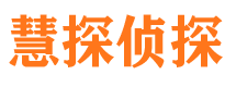 东乡族侦探公司